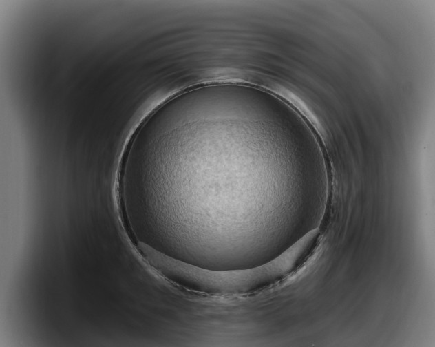X0000097830901200803201455