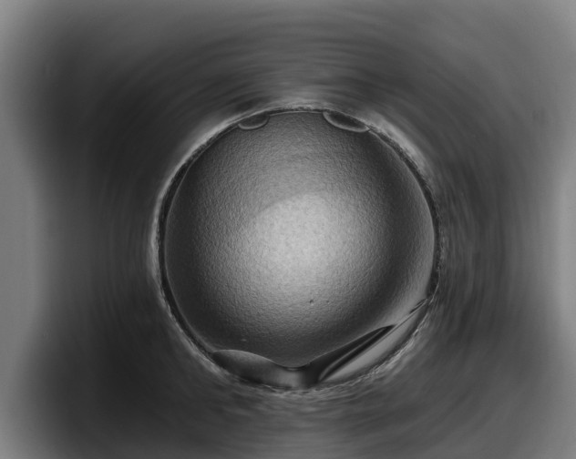 X0000097830902200803201455
