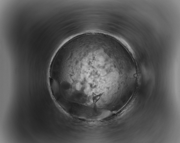 X0000097830903200803201455