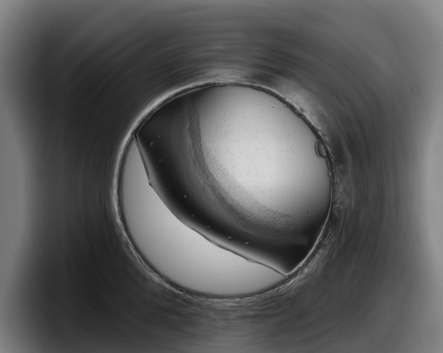 X0000097830904200803201455
