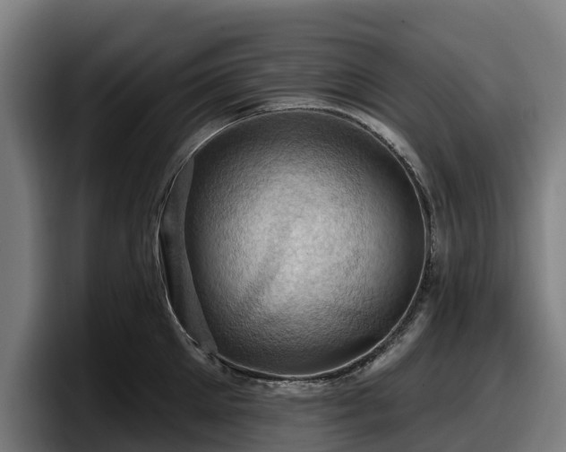 X0000097830905200803201455
