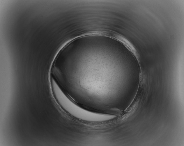 X0000097830907200803201455