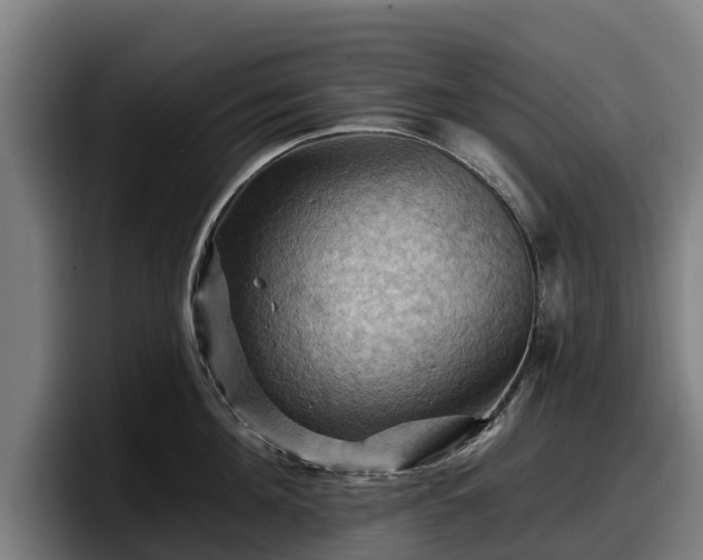 X0000097830908200803201455