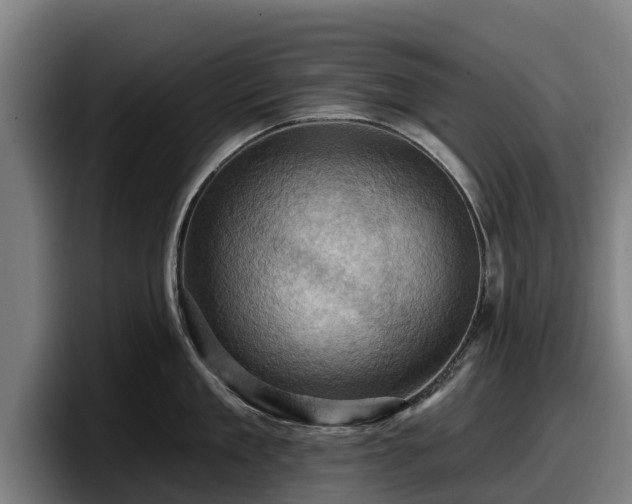 X0000097830909200803201455