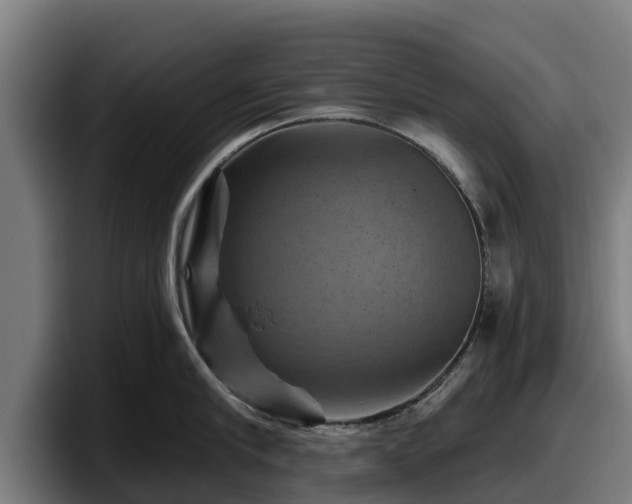 X0000097830910200803201455