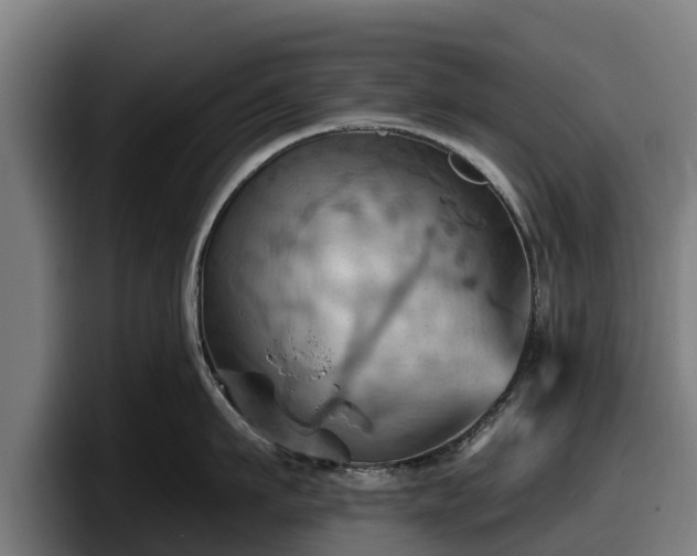 X0000097830911200803201455