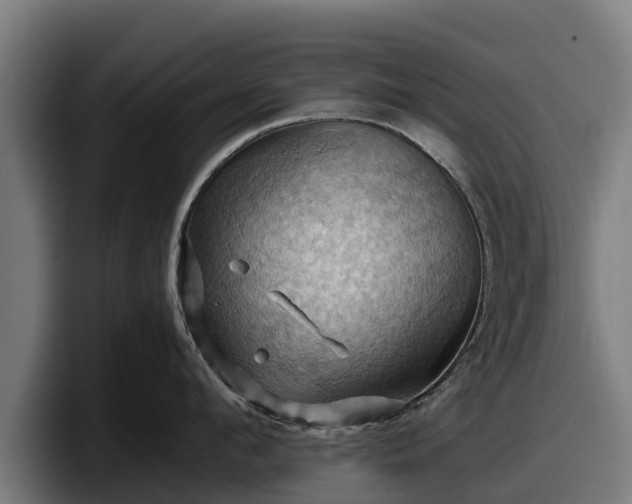 X0000097830912200803201455