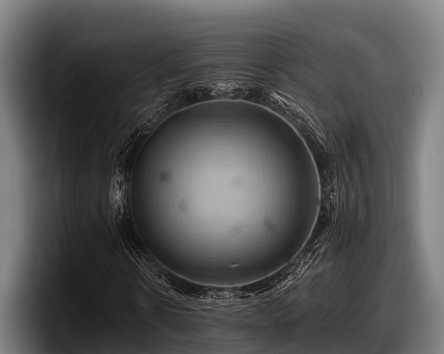 X0000097830914200803201455