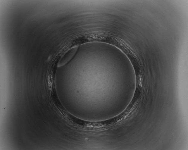 X0000097830915200803201455