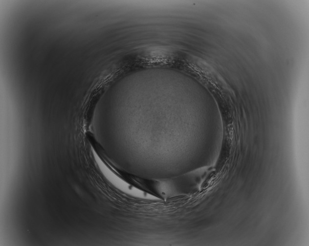 X0000097830916200803201455