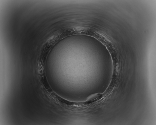 X0000097830917200803201455
