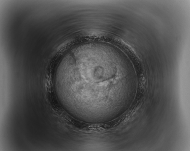X0000097830918200803201455