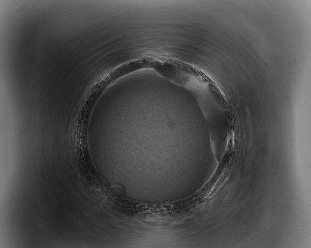 X0000097830919200803201455