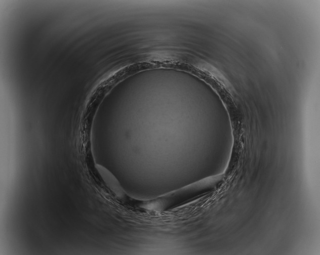 X0000097830920200803201455