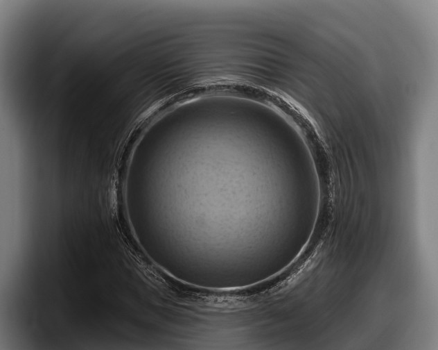 X0000097830921200803201455