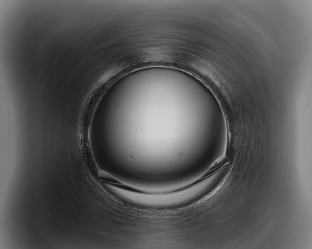 X0000097830922200803201455