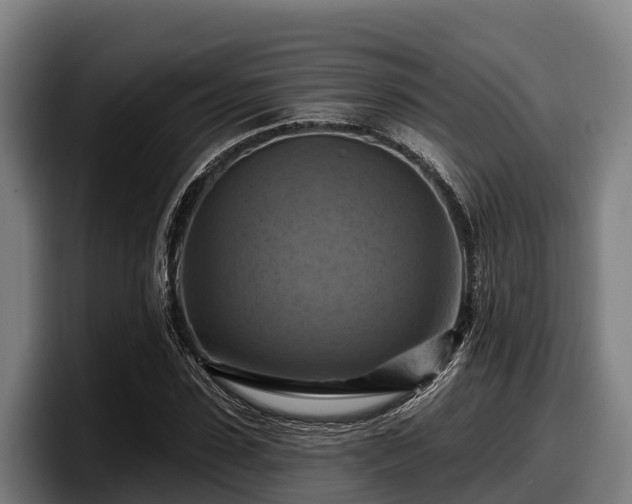 X0000097830923200803201455