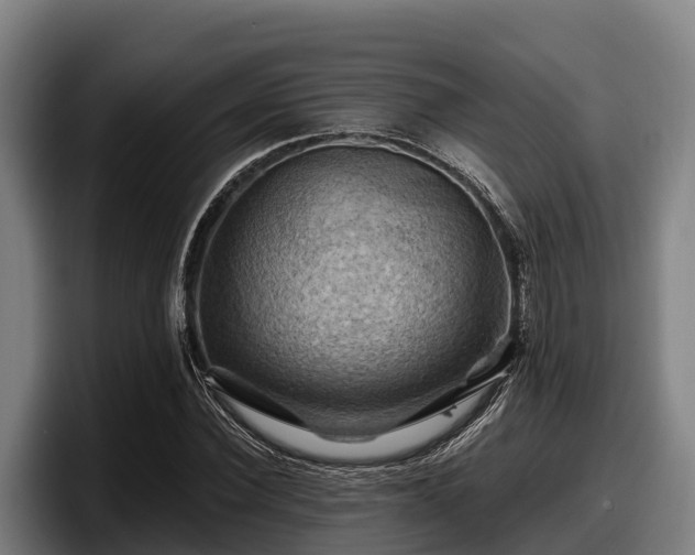 X0000097830924200803201455
