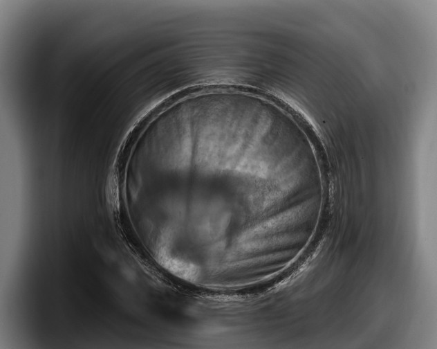 X0000097830925200803201455