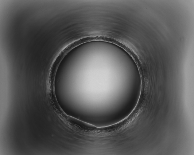 X0000097830927200803201455