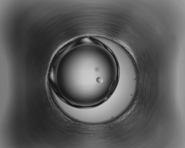 X0000097830928200803201455