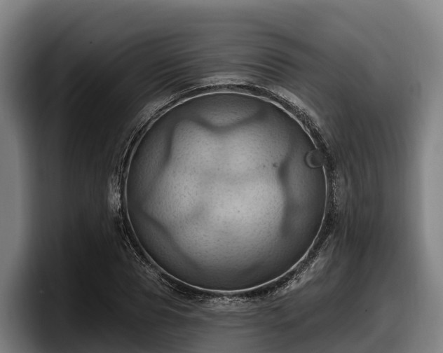X0000097830929200803201455