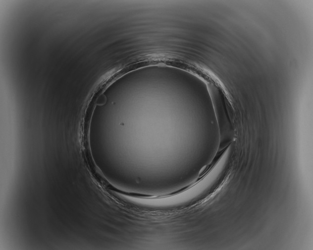 X0000097830930200803201455