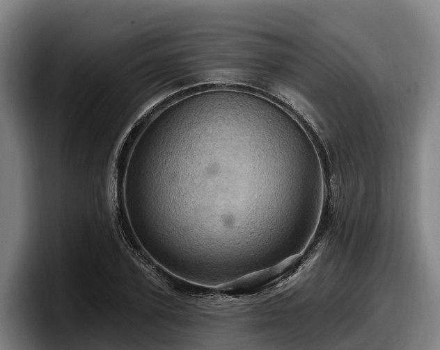 X0000097830931200803201455