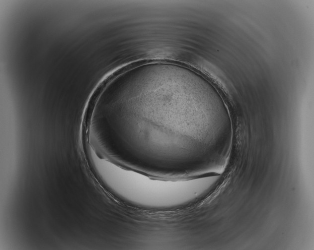 X0000097830932200803201455