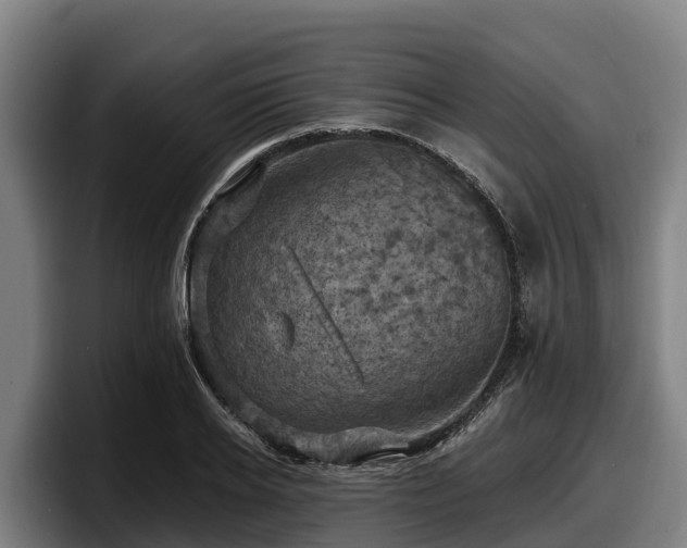 X0000097830934200803201455