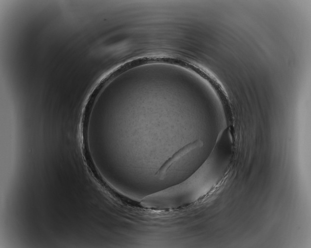 X0000097830935200803201455