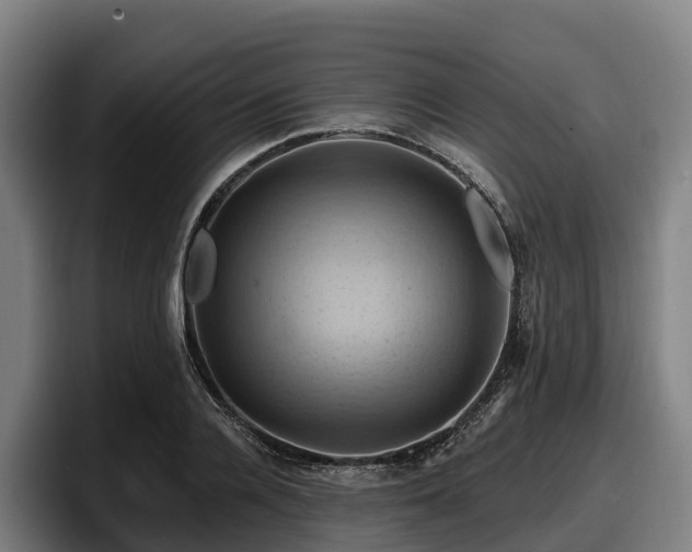 X0000097830936200803201455