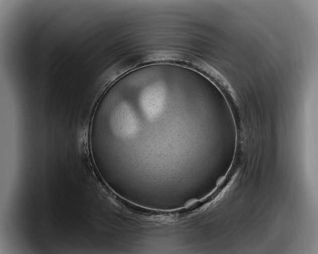 X0000097830937200803201455