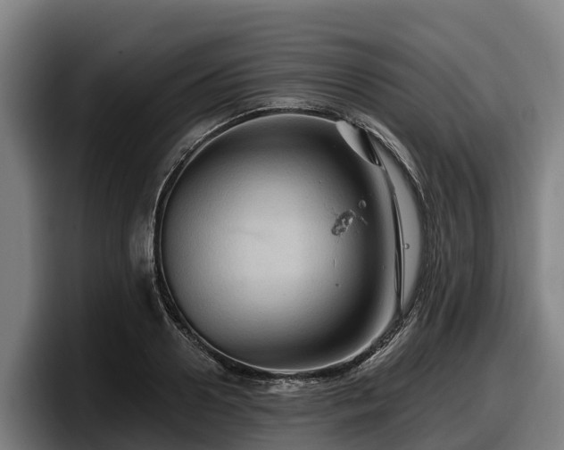 X0000097830938200803201455