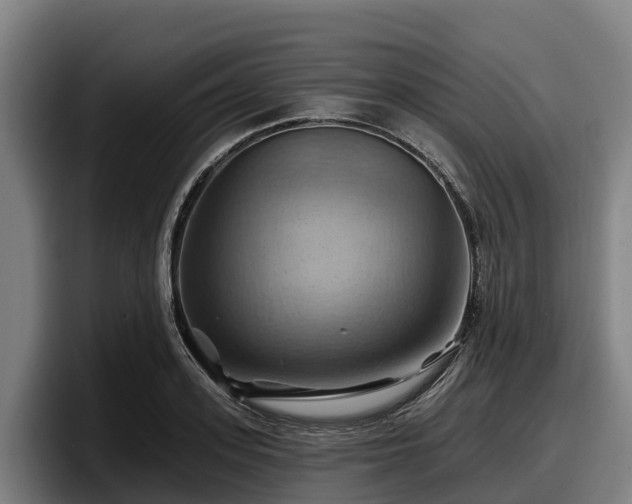 X0000097830939200803201455