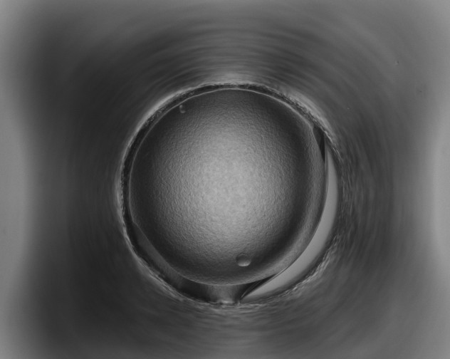 X0000097830942200803201455