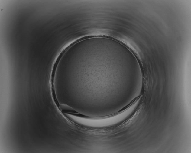 X0000097830943200803201455