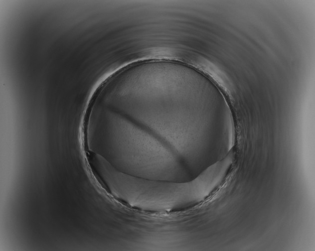 X0000097830944200803201455