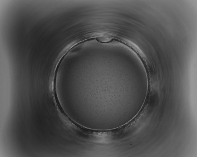 X0000097830946200803201455