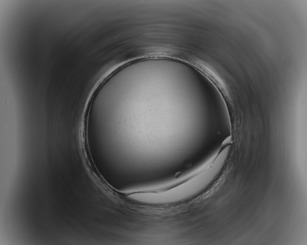 X0000097830948200803201455