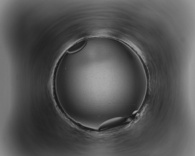 X0000097830949200803201455