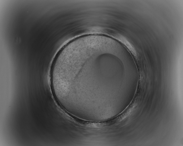 X0000097830950200803201455