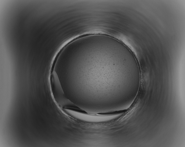 X0000097830951200803201455
