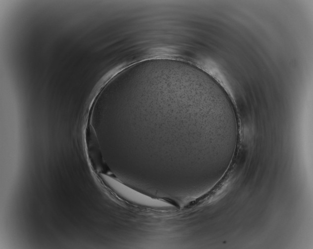 X0000097830954200803201455