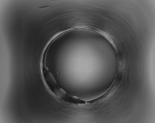 X0000097830955200803201455