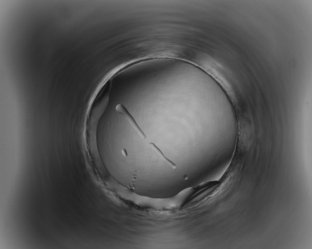 X0000097830956200803201455
