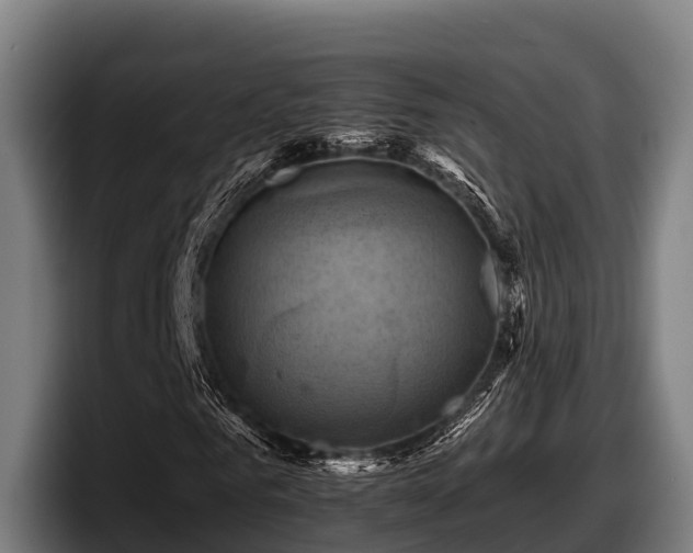 X0000097830961200803201455