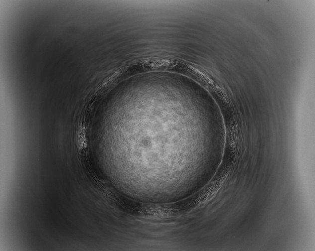 X0000097830962200803201454