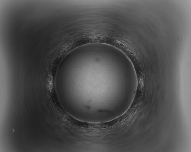 X0000097830963200803201454