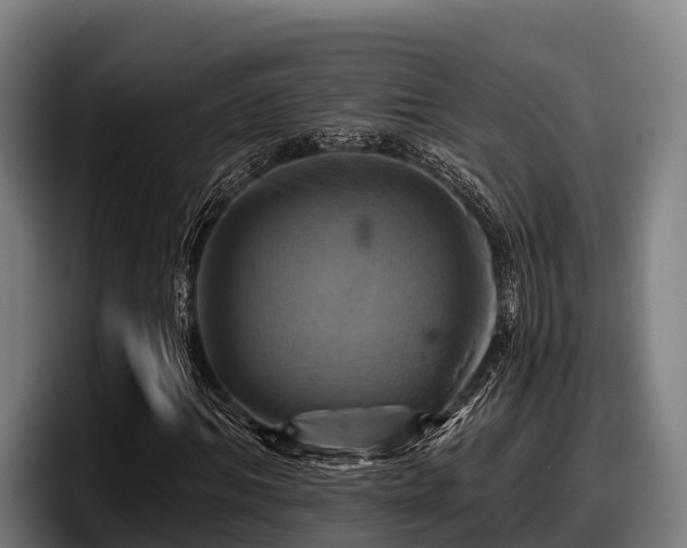X0000097830964200803201454